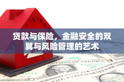 伊川贷款与保险，金融安全的双翼与风险管理的艺术