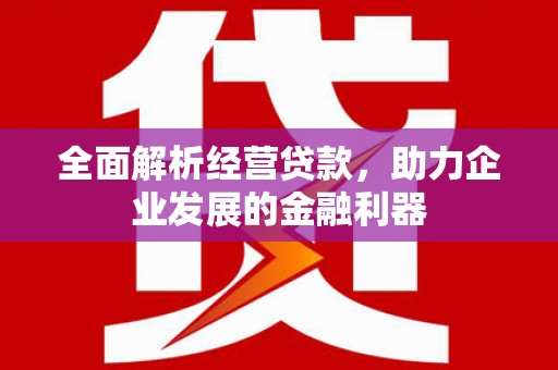 伊川全面解析经营贷款，助力企业发展的金融利器