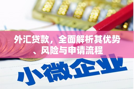 伊川外汇贷款，全面解析其优势、风险与申请流程