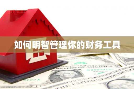 伊川如何明智管理你的财务工具