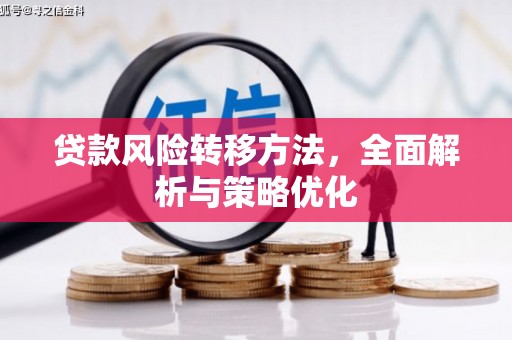 伊川贷款风险转移方法，全面解析与策略优化