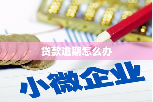 伊川贷款逾期怎么办