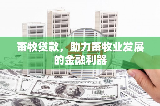 伊川畜牧贷款，助力畜牧业发展的金融利器