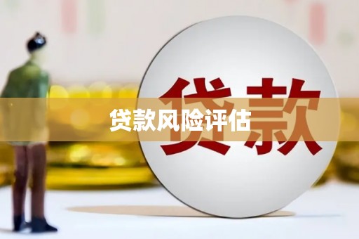 伊川贷款风险评估