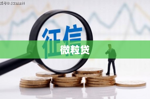 伊川微粒贷