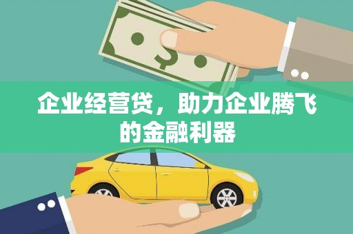 伊川企业经营贷，助力企业腾飞的金融利器
