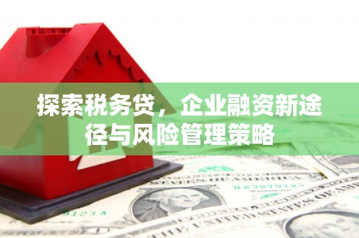 伊川探索税务贷，企业融资新途径与风险管理策略