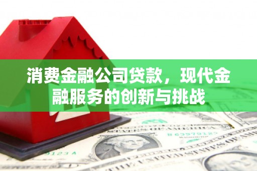 伊川消费金融公司贷款，现代金融服务的创新与挑战