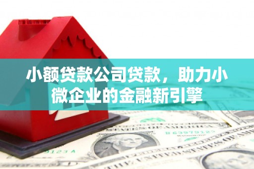 伊川小额贷款公司贷款，助力小微企业的金融新引擎
