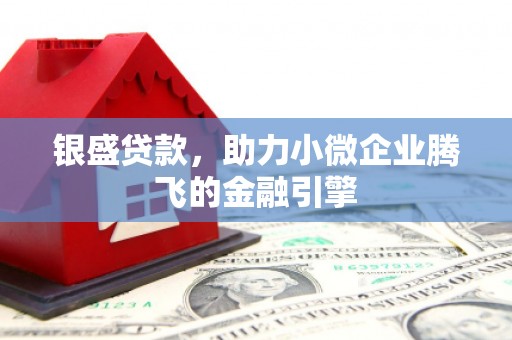 伊川银盛贷款，助力小微企业腾飞的金融引擎
