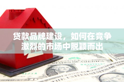 伊川贷款品牌建设，如何在竞争激烈的市场中脱颖而出