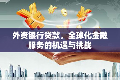 伊川外资银行贷款，全球化金融服务的机遇与挑战