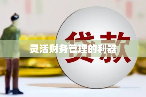 伊川灵活财务管理的利器