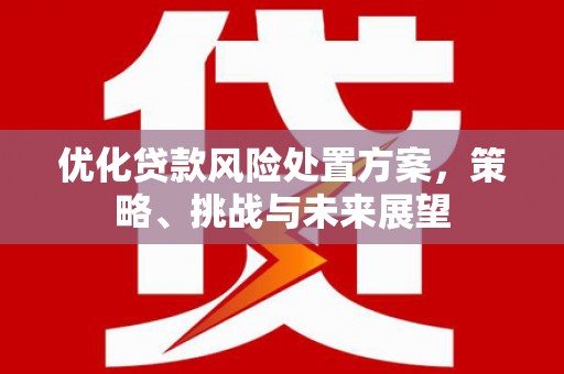 伊川优化贷款风险处置方案，策略、挑战与未来展望