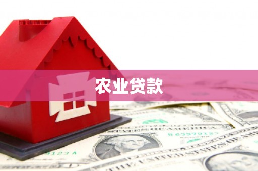 伊川农业贷款