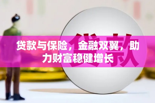 伊川贷款与保险，金融双翼，助力财富稳健增长