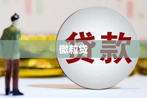 伊川微粒贷