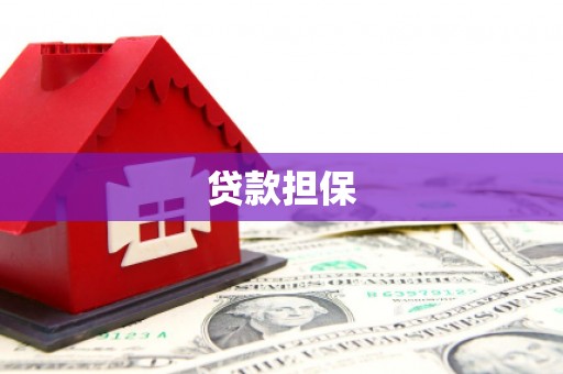 伊川贷款担保