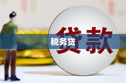 伊川税务贷