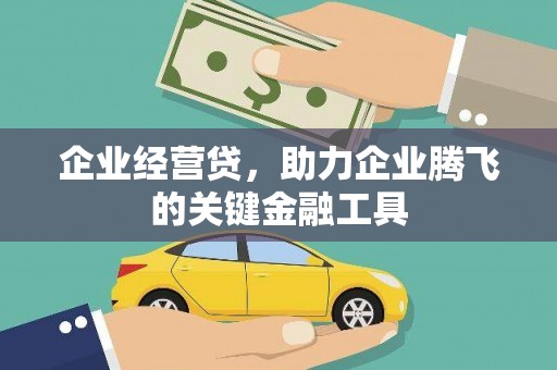 伊川企业经营贷，助力企业腾飞的关键金融工具