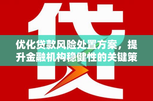 伊川优化贷款风险处置方案，提升金融机构稳健性的关键策略