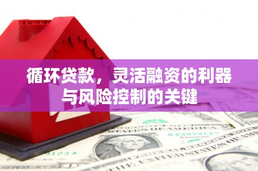 伊川循环贷款，灵活融资的利器与风险控制的关键