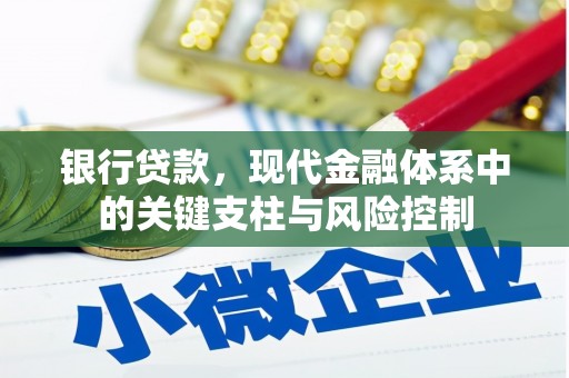 伊川银行贷款，现代金融体系中的关键支柱与风险控制