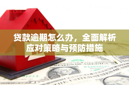 伊川贷款逾期怎么办，全面解析应对策略与预防措施