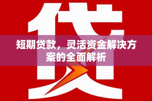 伊川短期贷款，灵活资金解决方案的全面解析