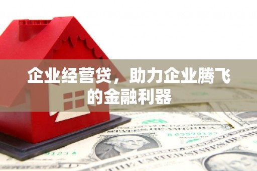 伊川企业经营贷，助力企业腾飞的金融利器