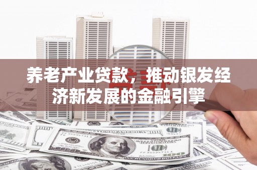 伊川养老产业贷款，推动银发经济新发展的金融引擎