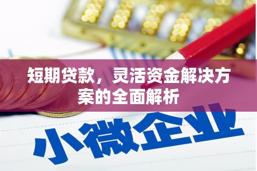 伊川短期贷款，灵活资金解决方案的全面解析