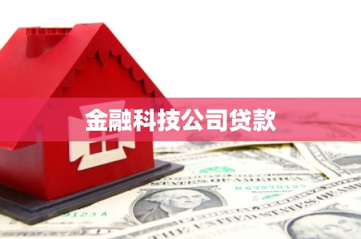 伊川金融科技公司贷款