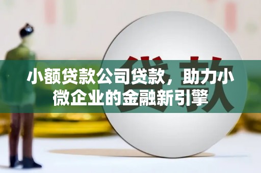 伊川小额贷款公司贷款，助力小微企业的金融新引擎