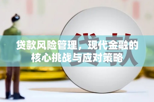 伊川贷款风险管理，现代金融的核心挑战与应对策略