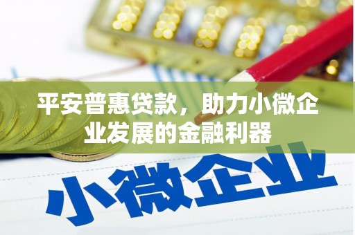 伊川平安普惠贷款，助力小微企业发展的金融利器