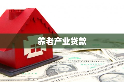 伊川养老产业贷款