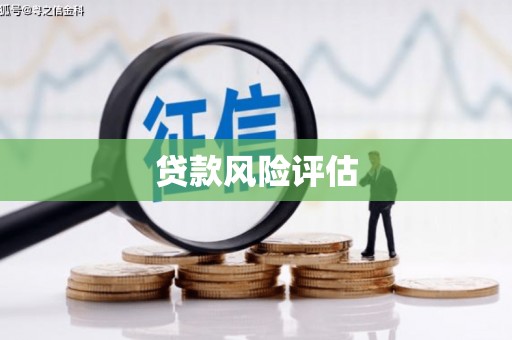 伊川贷款风险评估