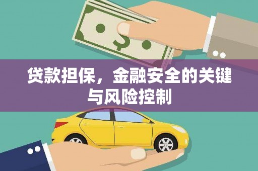 伊川贷款担保，金融安全的关键与风险控制