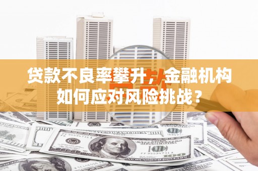 伊川贷款不良率攀升，金融机构如何应对风险挑战？