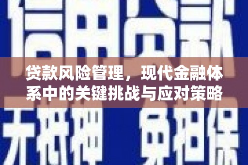 伊川贷款风险管理，现代金融体系中的关键挑战与应对策略