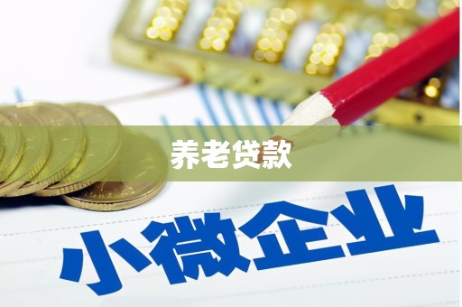 伊川养老贷款