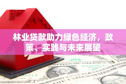 伊川林业贷款助力绿色经济，政策、实践与未来展望