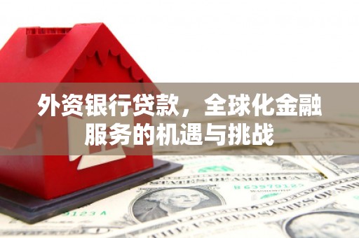 伊川外资银行贷款，全球化金融服务的机遇与挑战
