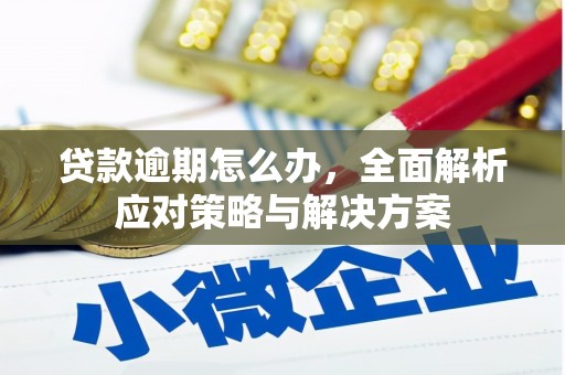 伊川贷款逾期怎么办，全面解析应对策略与解决方案