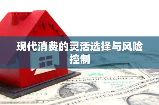伊川现代消费的灵活选择与风险控制