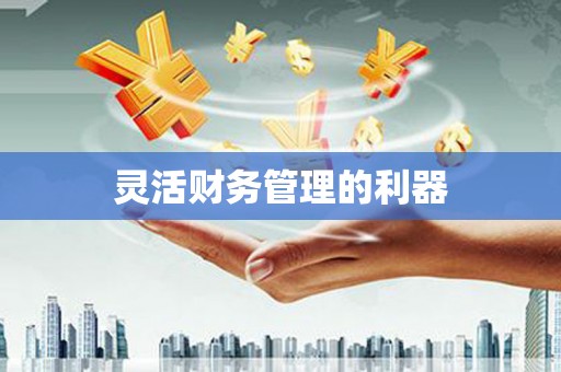 伊川灵活财务管理的利器