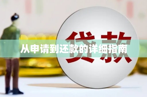 伊川从申请到还款的详细指南
