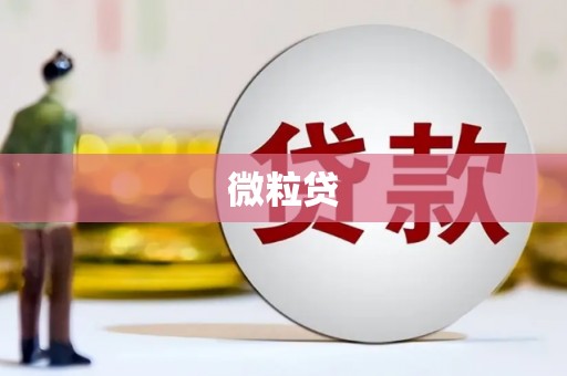 伊川微粒贷