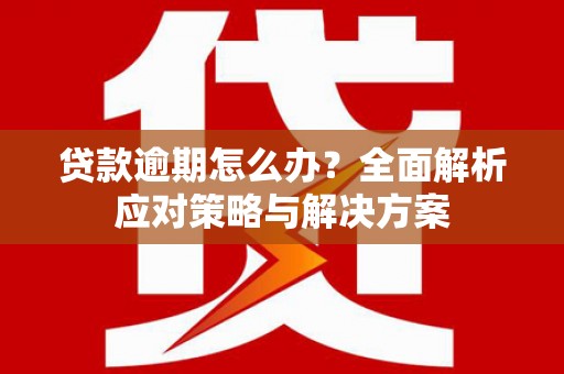 伊川贷款逾期怎么办？全面解析应对策略与解决方案